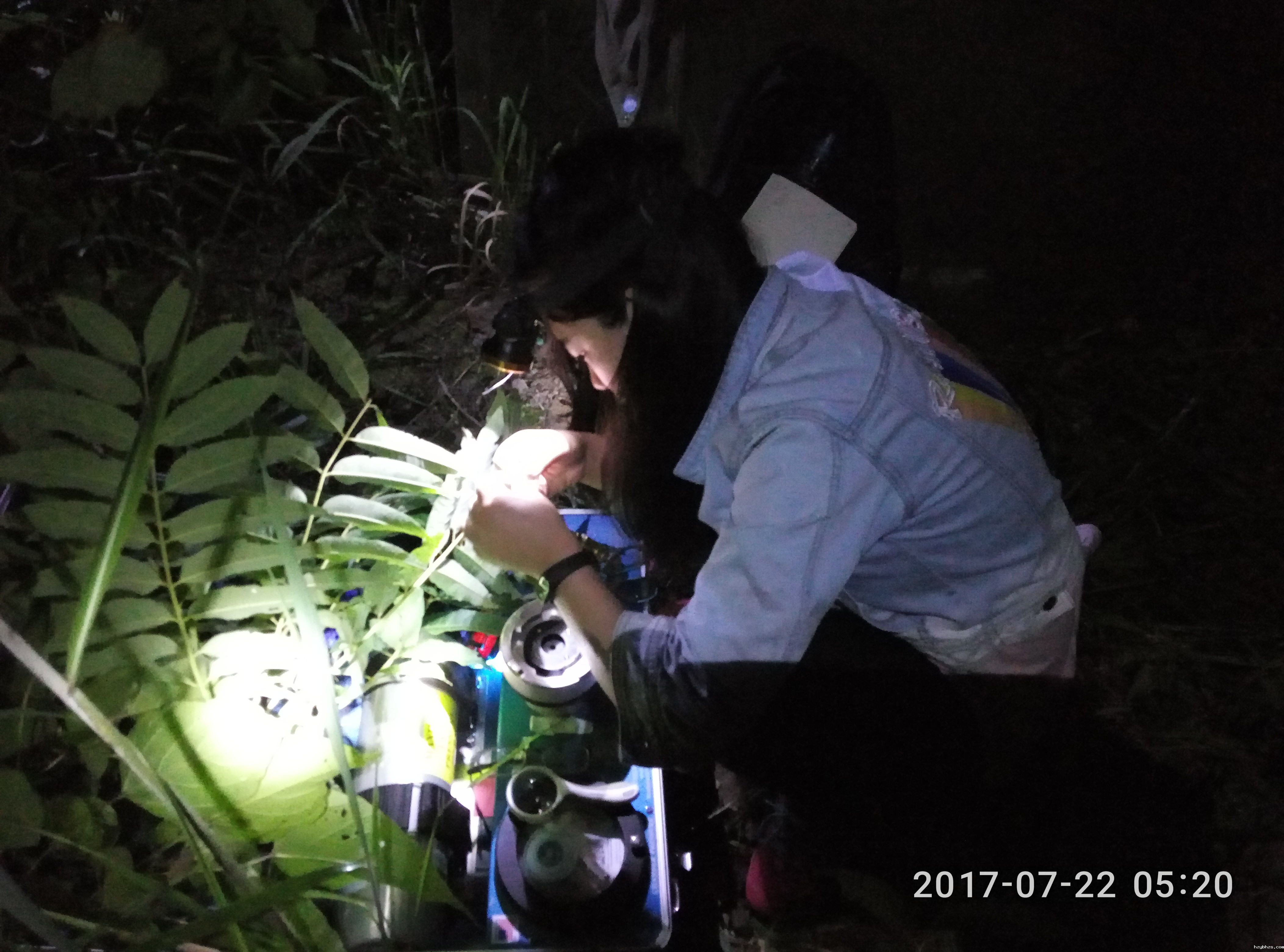 半夜上山实验的女汉子（张耀华摄）